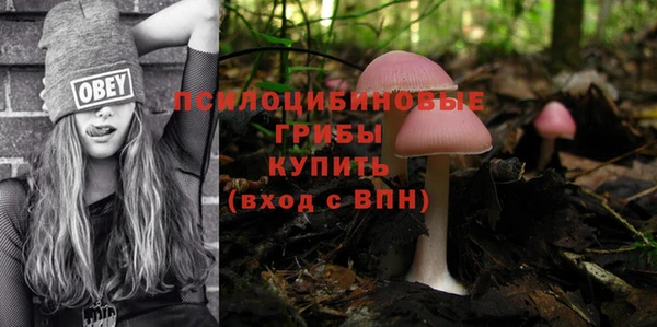 спайс Алексин