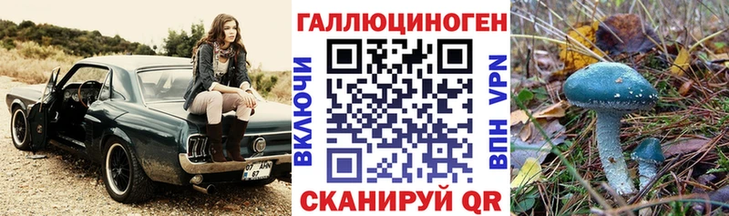 Псилоцибиновые грибы Psilocybe  сколько стоит  Арск 
