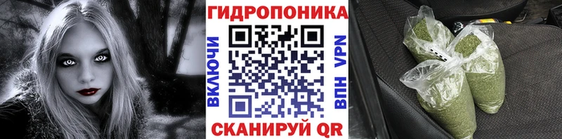 Бошки Шишки планчик  Арск 